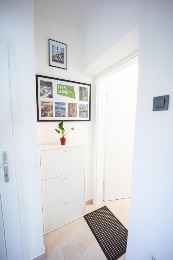 Apartment Mari&Bor Maribor Extérieur photo